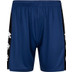 Robey Performance Training Short