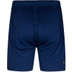 Robey Performance Training Short Kids