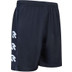 Robey Performance Training Short