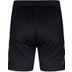 Robey Performance Training Short