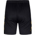 Robey Performance Training Short Kids