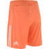 adidas KNHB Hockey Hemmashorts Herr