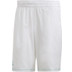 adidas Parley 9 Inch Short 1