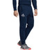 adidas Category Graphic Pant 6