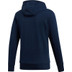 adidas Category Graphic Hoody