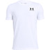 Under Armour Tee 2