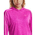 Under Armour Tech Twist Hoody