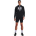 Under Armour Rival Logo Hoody