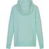 Under Armour Rival Logo Hoody