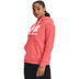 Under Armour Rival Logo Hoody