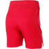 Nike Team Short Heren