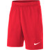 Nike Hockey Team Shorts Jungen