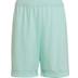 adidas Entrada 22 Training Short Kids
