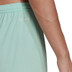 adidas Entrada 22 Women's Training Short
