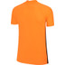 Nike Nederland Match Thuis Shirt Dames 3