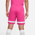 Nike Academy Short
