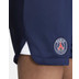 Nike Paris Saint-Germain Thuis Tenue Dames