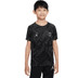 Nike Paris Saint-Germain Pre-match Trainingsset Kids