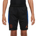 Nike Paris Saint-Germain Strike Trainingsset Kids