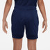 Nike Paris Saint-Germain Academy Pro Trainingsset Kids