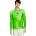 Nike Paris Saint-Germain Thuis Keepersshirt