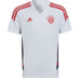 adidas Bayern München Träningsset Barn
