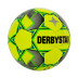 Derbystar Indoor Futsal Basic Pro Light