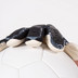 Stanno Volare Ultra lll