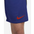 Nike Nederland Uit Tenue