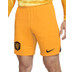 Nike Nederland Thuis Tenue