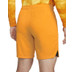Nike Nederland Thuis Tenue