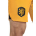 Nike Nederland Thuis Tenue