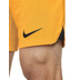 Nike Nederland Thuis Tenue