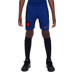 Nike Nederland Uit Tenue Kids