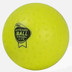 Brabo Chingford Gold FIH Dimple Ball 1 St.