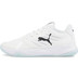Puma Accelerate Pro II
