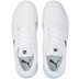 Puma Accelerate Pro II