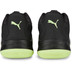 Puma Accelerate Pro II