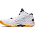 ASICS Sky Elite ff MT 2