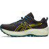 ASICS GEL-Trabuco 11 GTX Heren