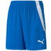 Puma LIGA Training Short Kids