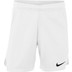 Nike Team Handball Trainingsset Men