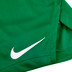 Nike Team Short Heren
