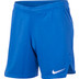 Nike Team Short Heren