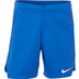 Nike Team Short Heren