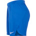 Nike Team Short Heren