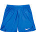 Nike Team Short Heren