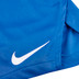 Nike Team Short Heren
