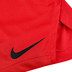 Nike Team Short Heren