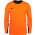 Nike Team Handball Court Goalkeeper Shirt Heren